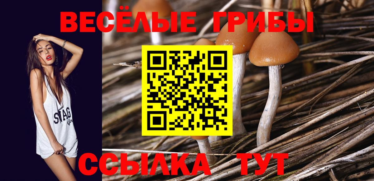 Псилоцибиновые грибы мухоморы Апрелевка