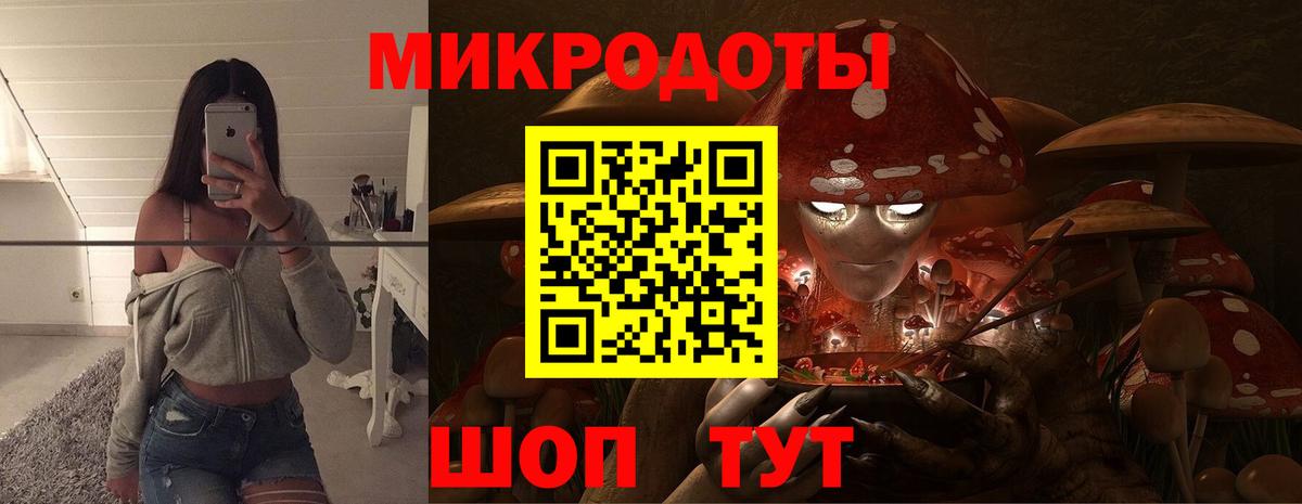 Апрелевка  Псилоцибиновые грибы GOLDEN TEACHER  Вход с VPN  Галлюциногенные грибы Psilocybe 